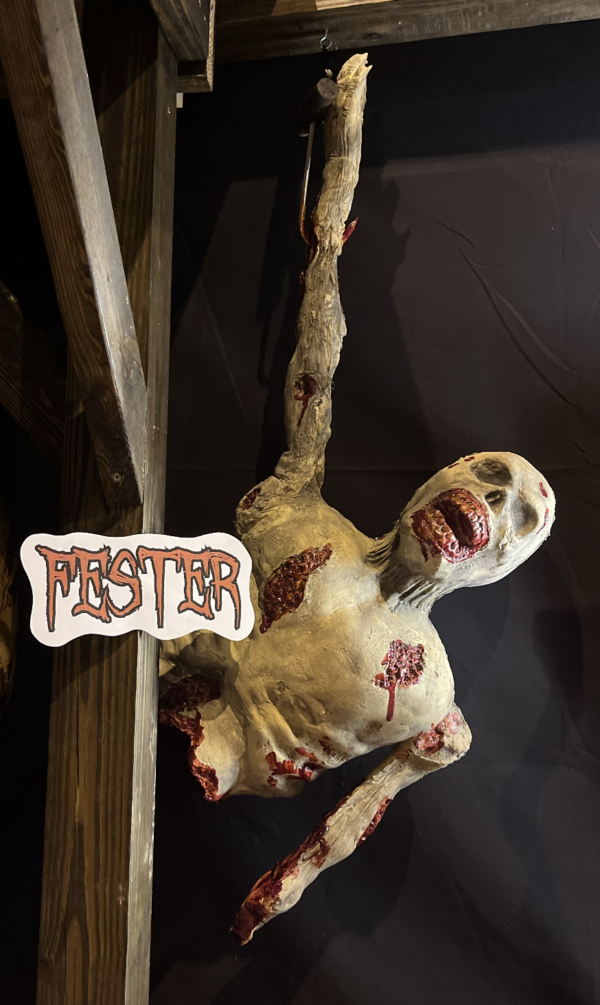 Screenshot 2025-02-27 at 10.32.43 AM